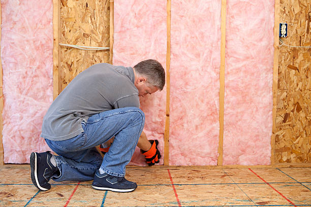 Best Specialized Insulation Services in Gahanna, OH